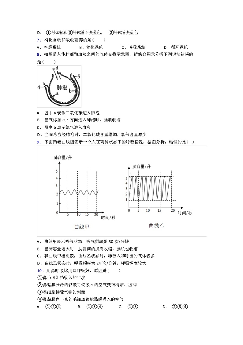 人教版七年级生物下册期中试题（解析版）第2页