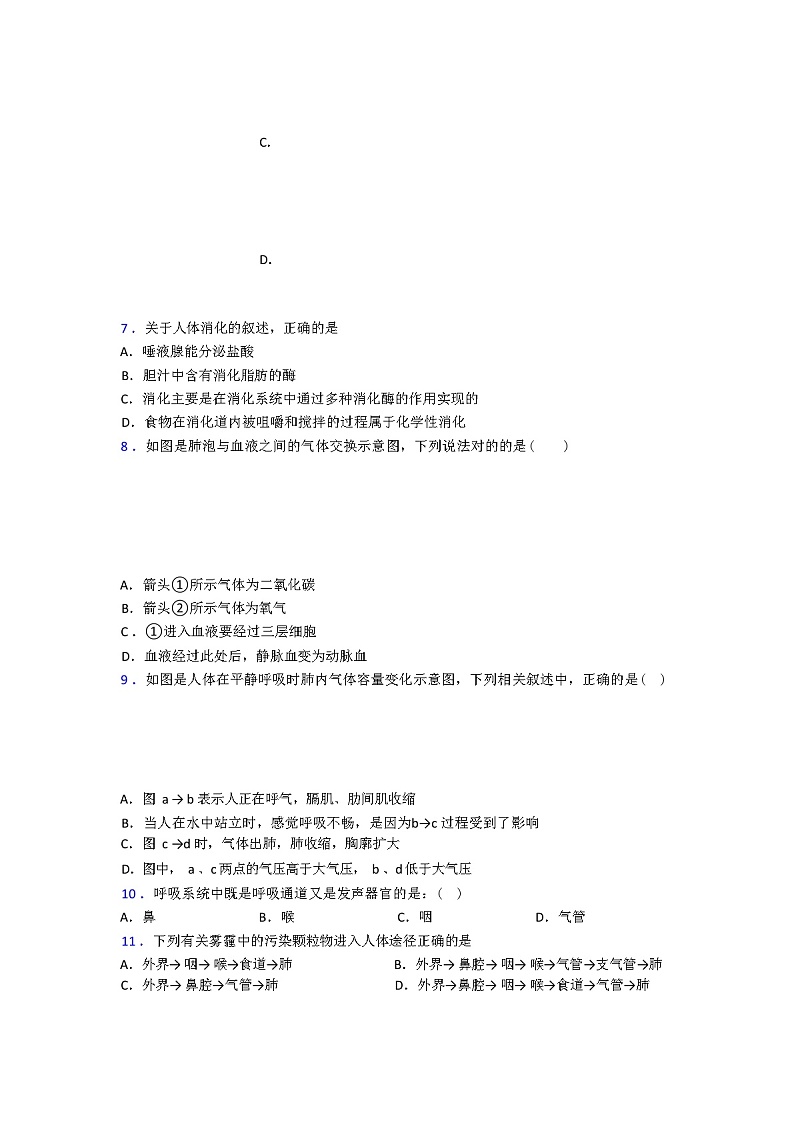 2024年春人教版七年级生物下册期中试卷（解析版）第2页