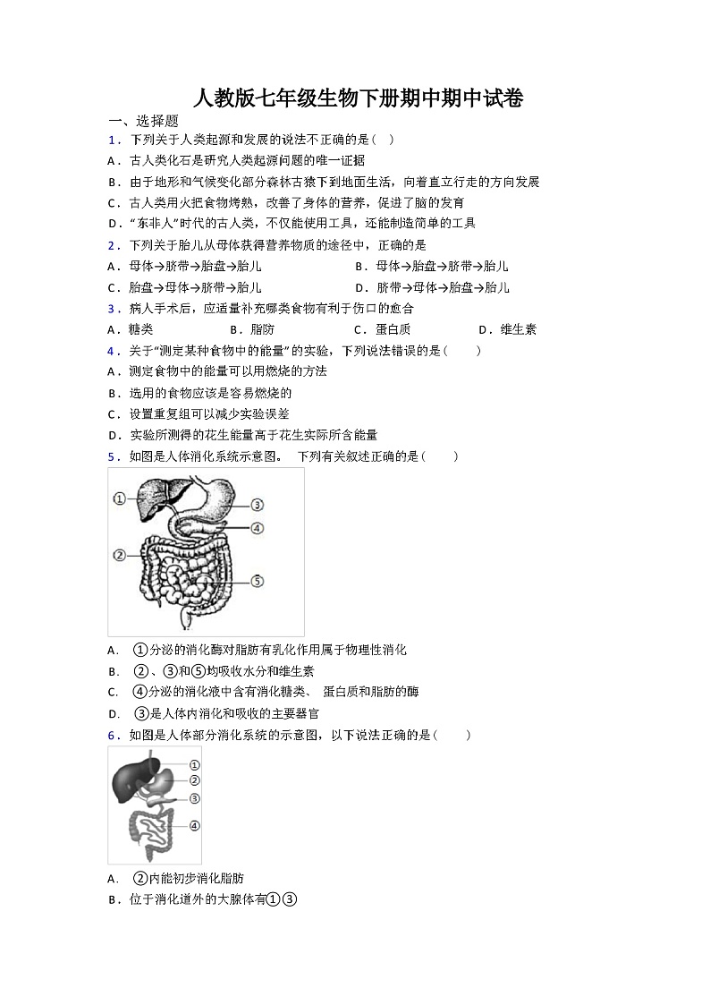 2024年春人教版七年级生物下册期中期中试卷（解析版）第1页