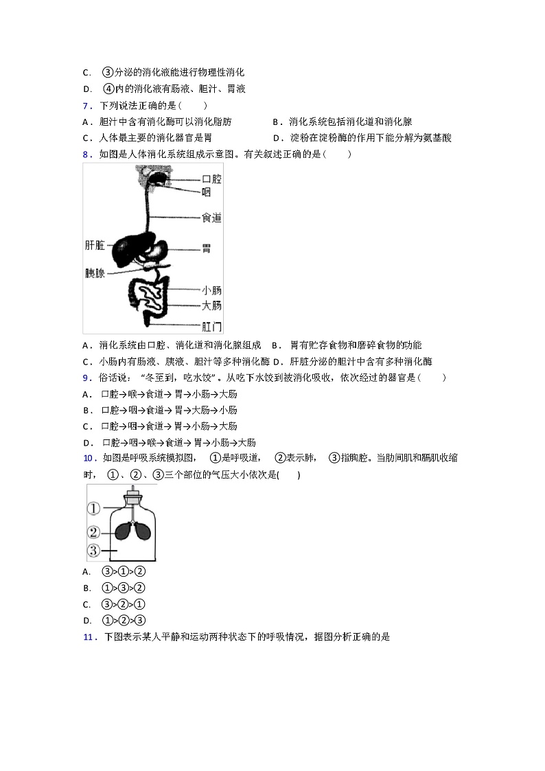 2024年春人教版七年级生物下册期中期中试卷（解析版）第2页