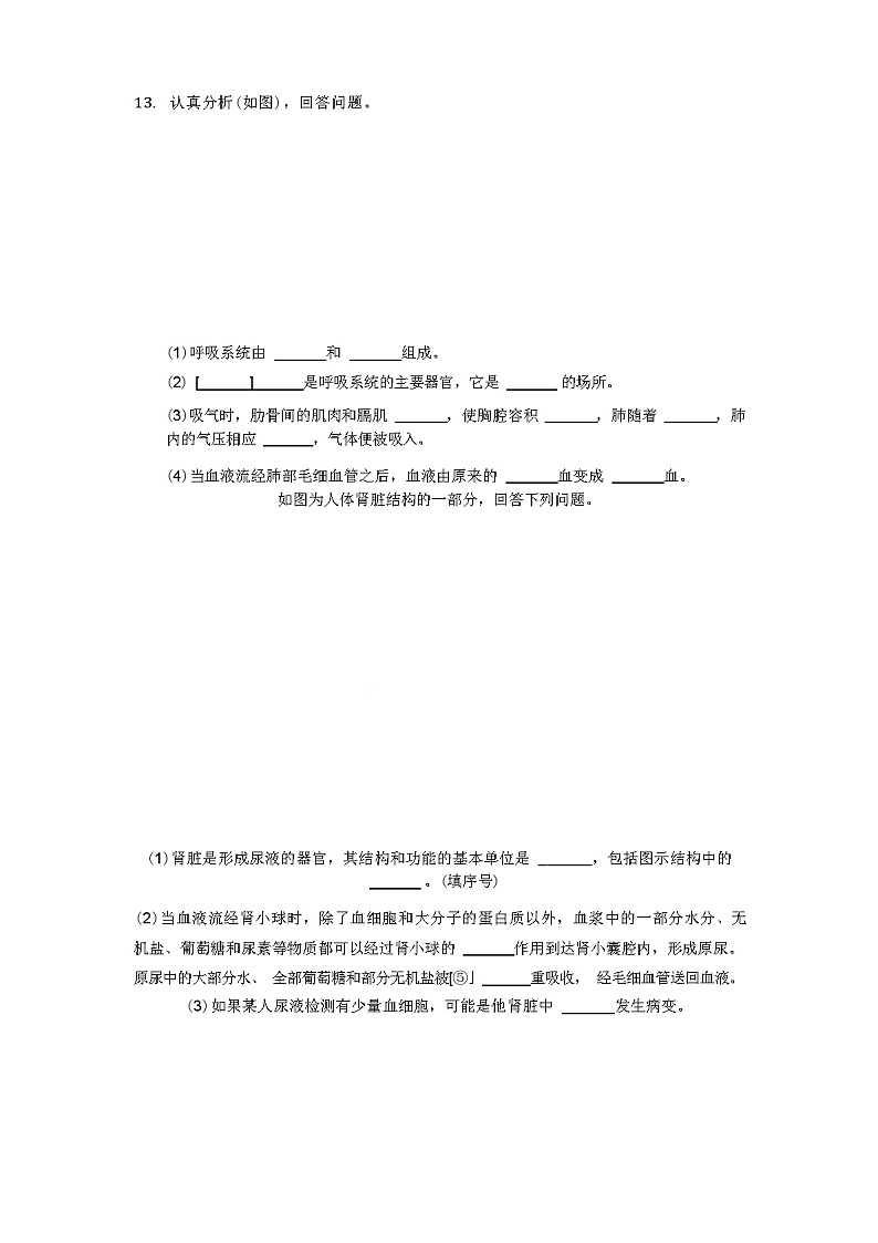 2024年春七年级(下)期中生物试卷（解析版）第3页
