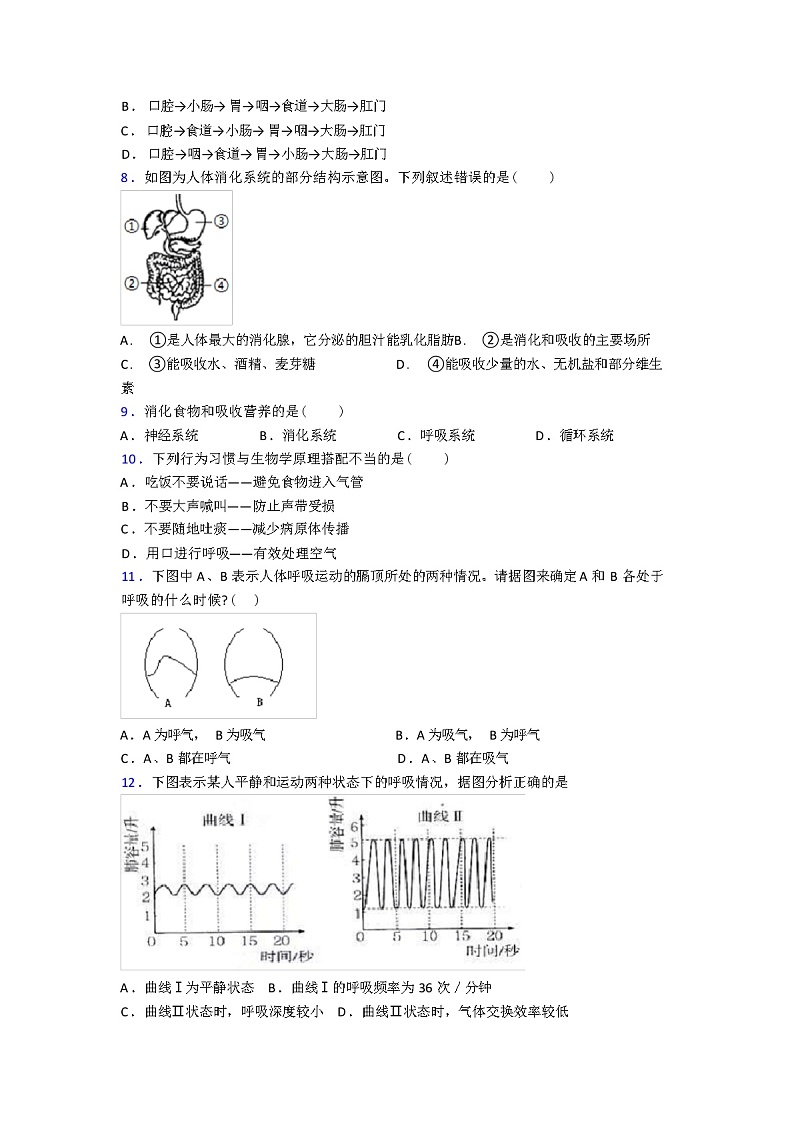 2024年春人教版七年级生物下册期中期中试卷（解析版）第2页