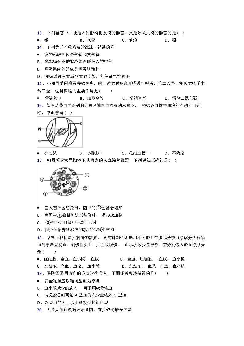 2024年春人教版七年级生物下册期中期中试卷（解析版）第3页