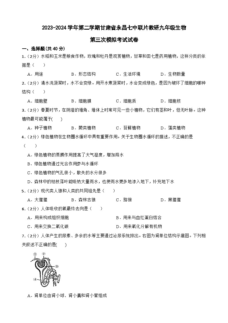 2024年甘肃省金昌市永昌县永昌七中中学联片教研中考三模生物试题01