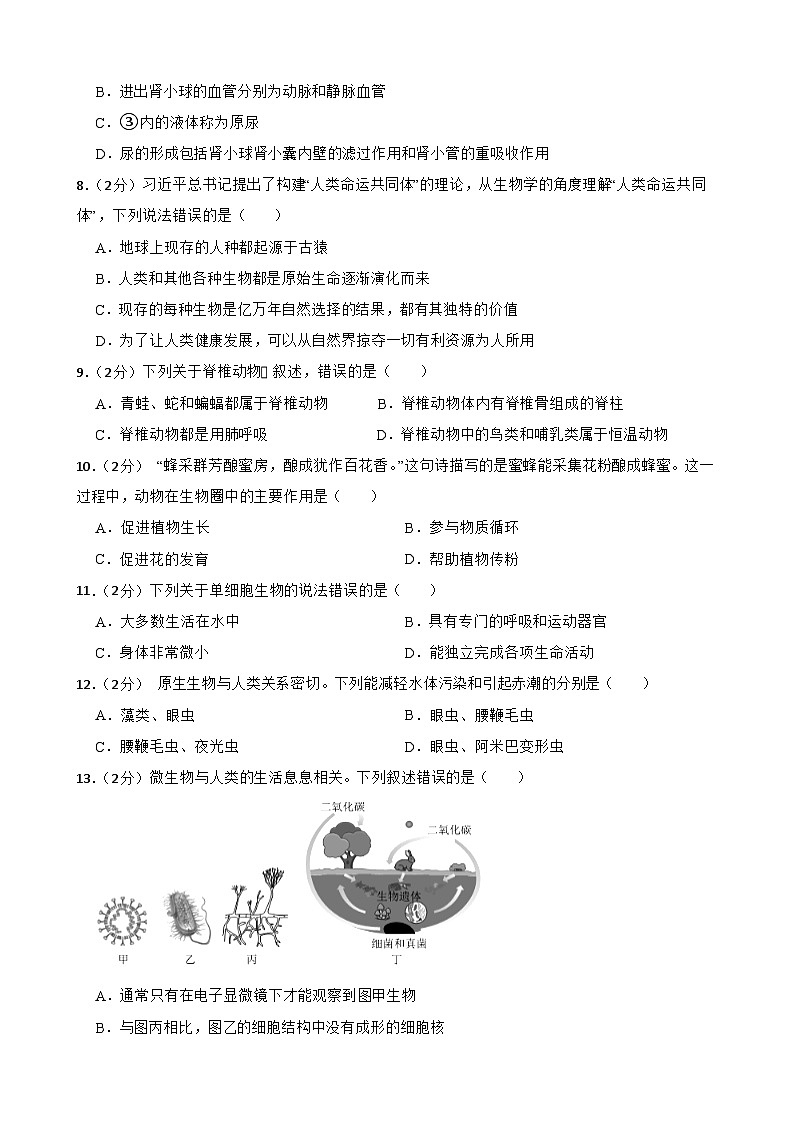 2024年甘肃省金昌市永昌县永昌七中中学联片教研中考三模生物试题02