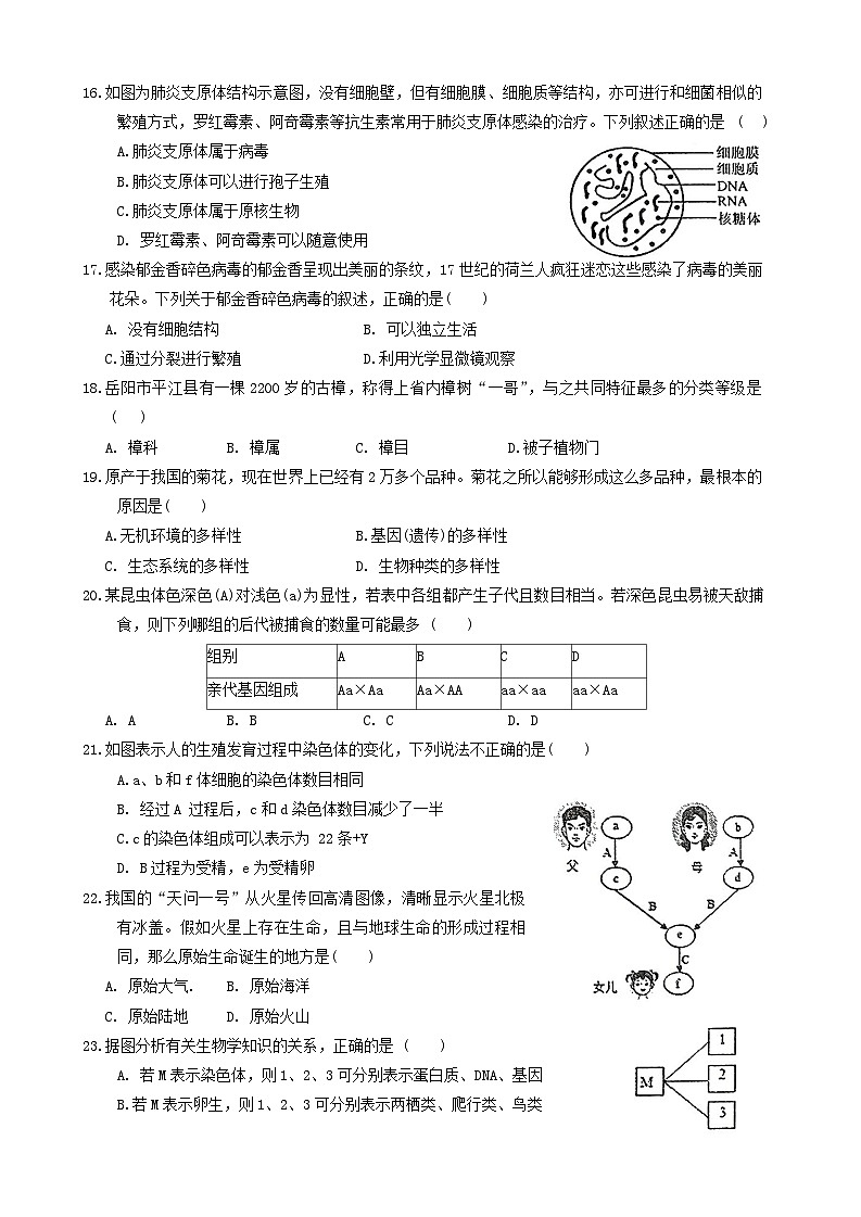 2024年湖南省娄底市中考二模生物试题(01)第3页