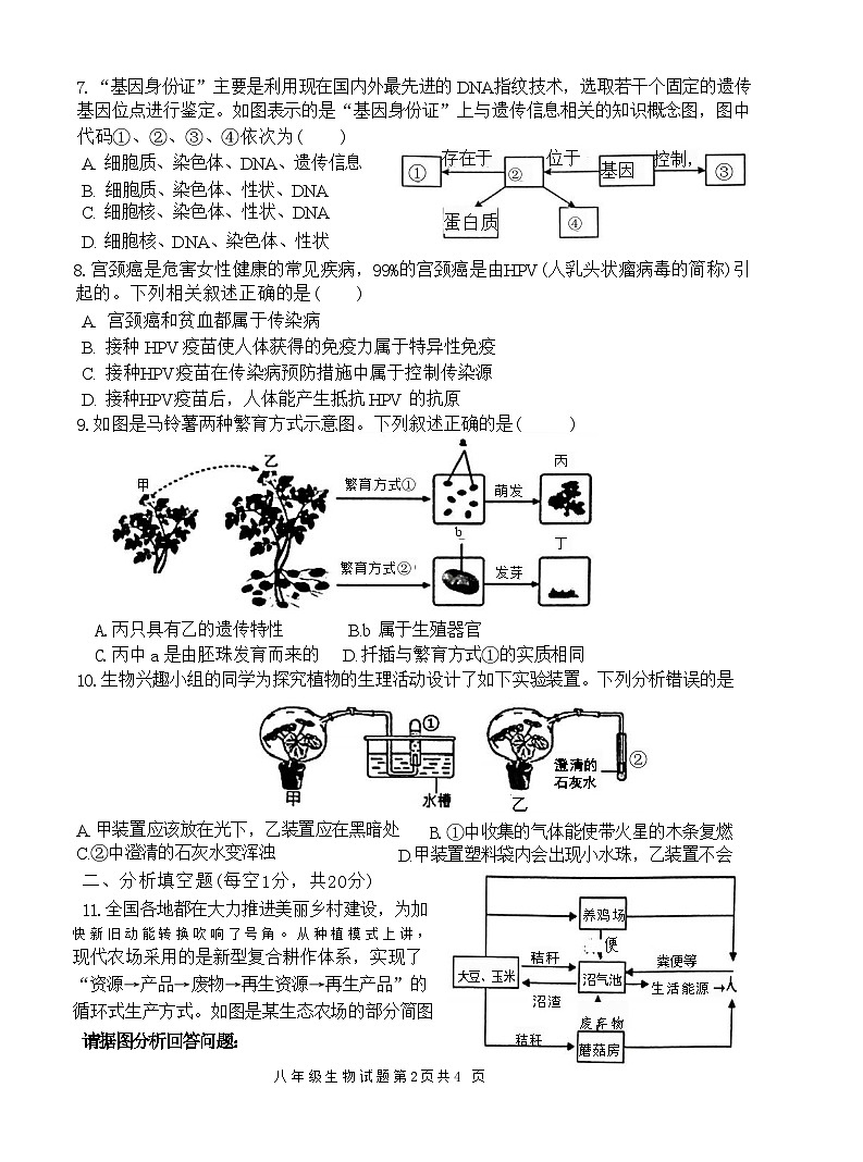 2024年江苏省徐州市中考二模生物试题02