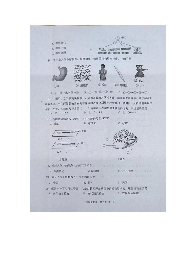 10，江苏省淮安市淮安区2023-2024学年七年级下学期期中学业监测生物试卷第3页