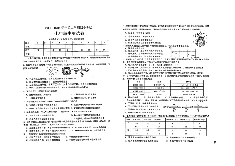 22，江苏省盐城市响水县2023-2024学年七年级下学期期中生物试卷第1页