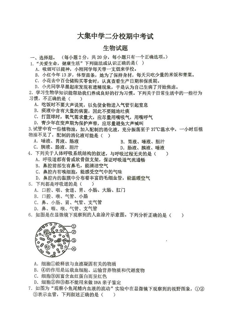 01，湖北省崇阳县大集中学二分校2023--2024学年七年级下学期期中质量监测生物试题第1页