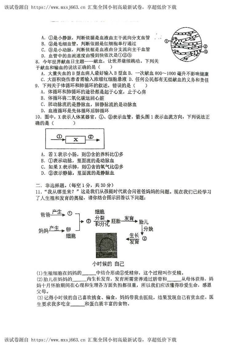 01，湖北省崇阳县大集中学二分校2023--2024学年七年级下学期期中质量监测生物试题第2页