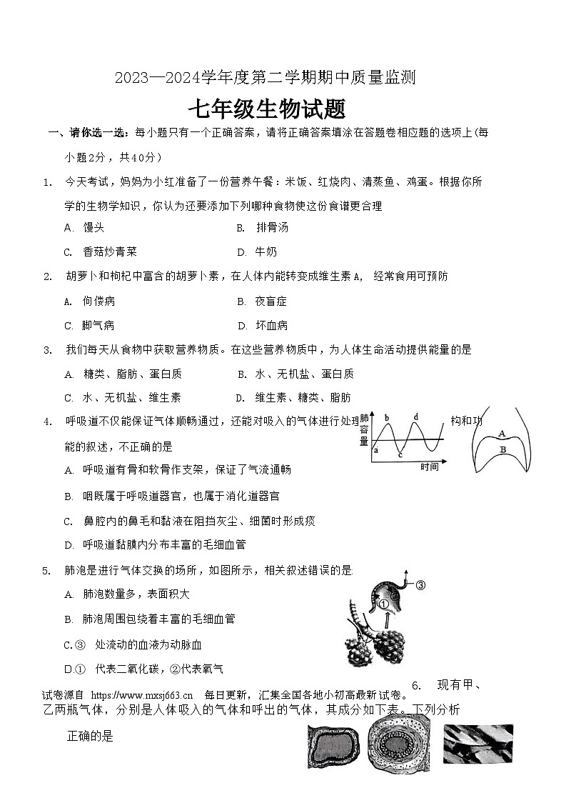 02，山东省枣庄市峄城区2023—2024学年七年级下学期期中质量检测生物试题01