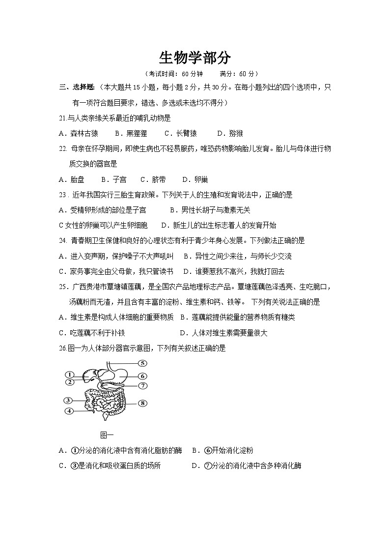 26，广西部分市县区联考2023-2024学年七年级下学期期中考试生物试题第1页