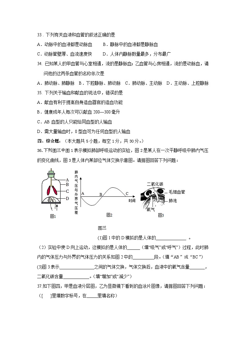 26，广西部分市县区联考2023-2024学年七年级下学期期中考试生物试题第3页