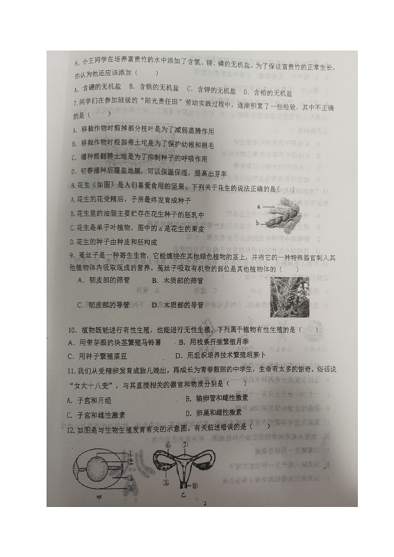 68，四川省成都市青白江区城厢学校2023-2024学年八年级下学期期中考试生物试题第3页