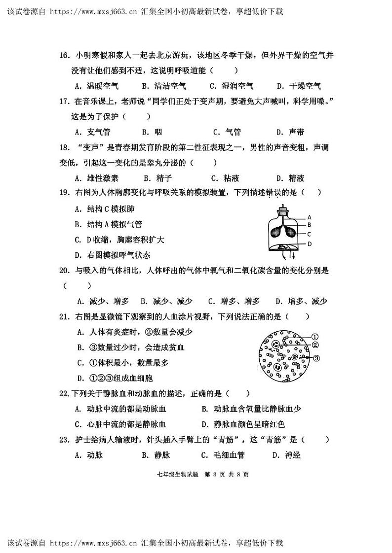 75，福建省宁德市霞浦县2023-2024学年七年级下学期期中生物试题(1)03