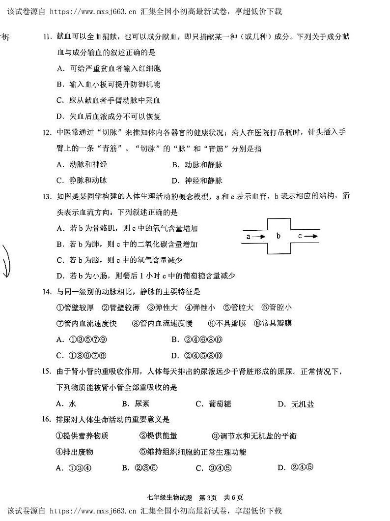 80，山东省枣庄市峄城区2023—2024学年七年级下学期期中质量检测生物试题03