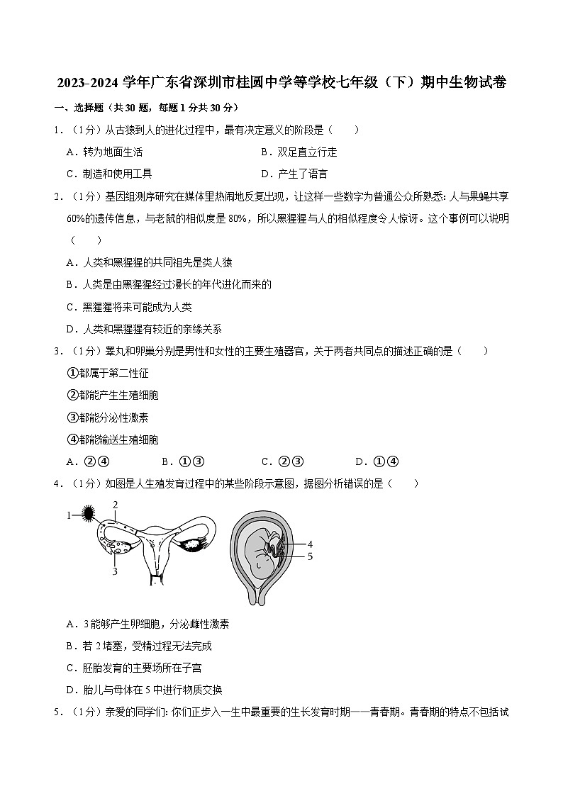 81，广东省深圳市桂圆中学等学校2023-2024学年七年级下学期期中生物试卷01