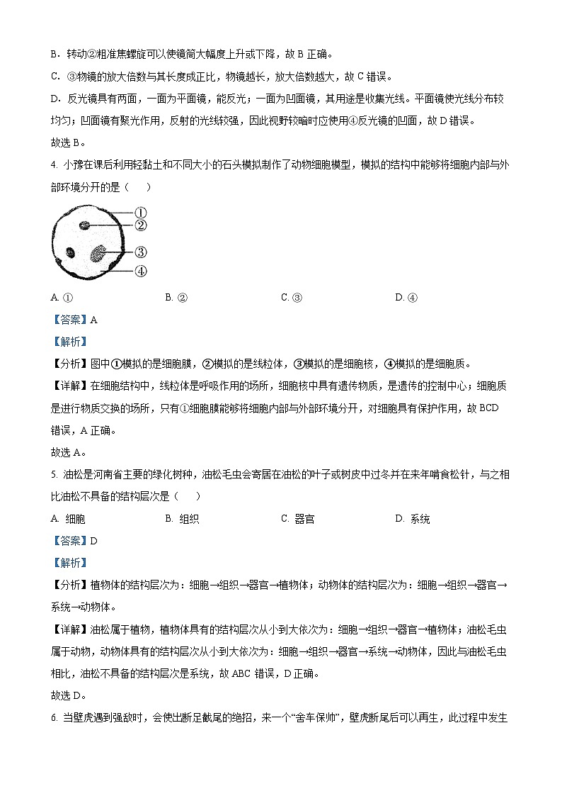 84，河南省鹤壁市多校2023-2024学年八年级下学期期中生物试题第3页