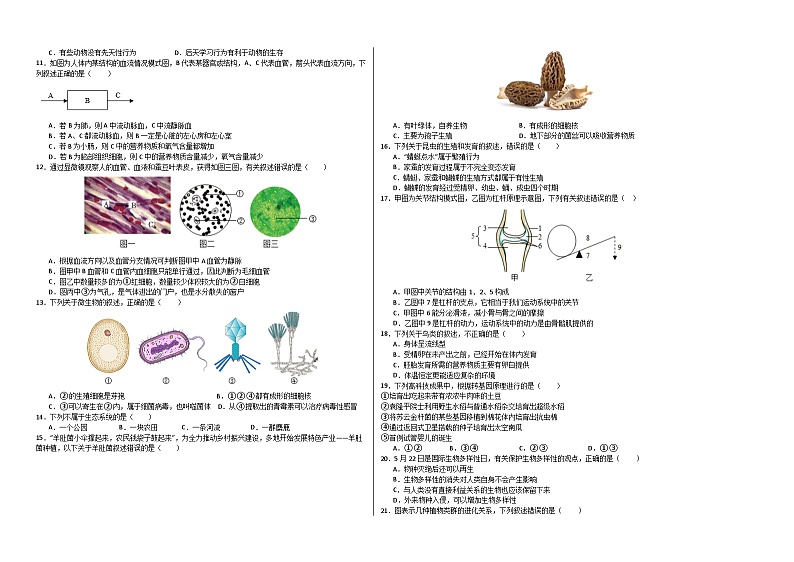 生物（广州卷）（考试版）A3第2页