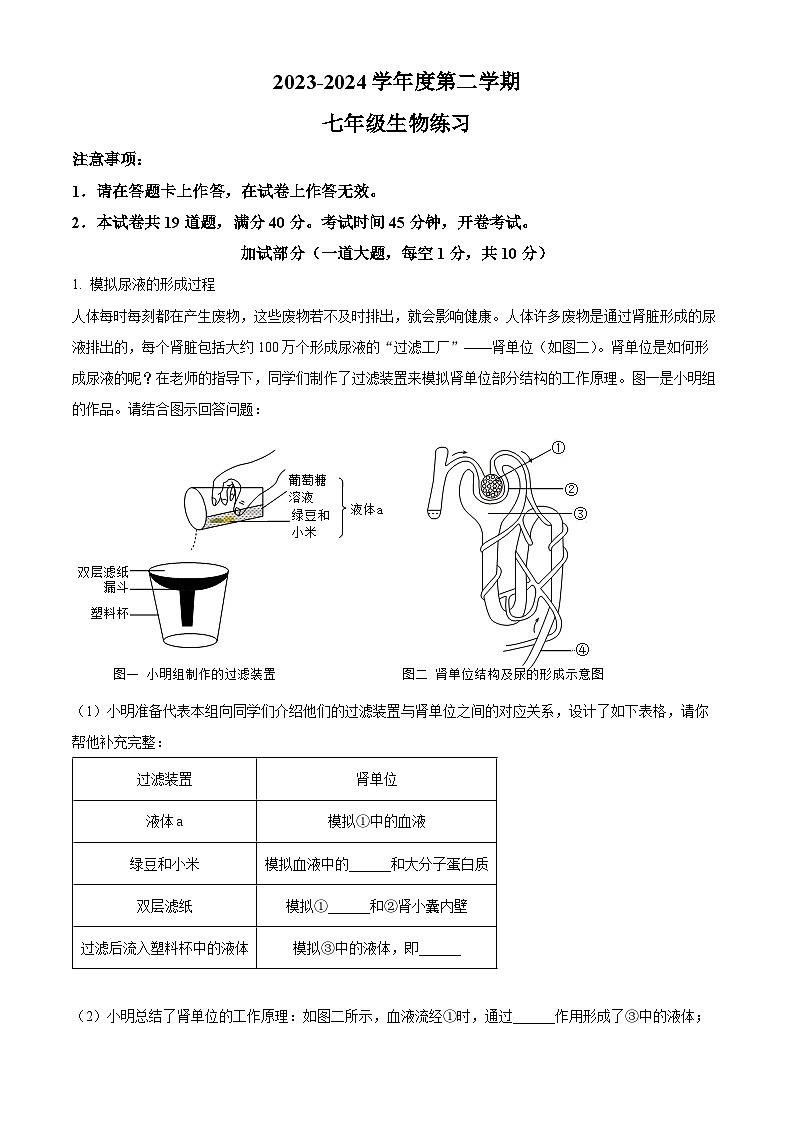 辽宁省大连市瓦房店市2023-2024学年七年级下学期期中生物试题（原卷版+解析版）01