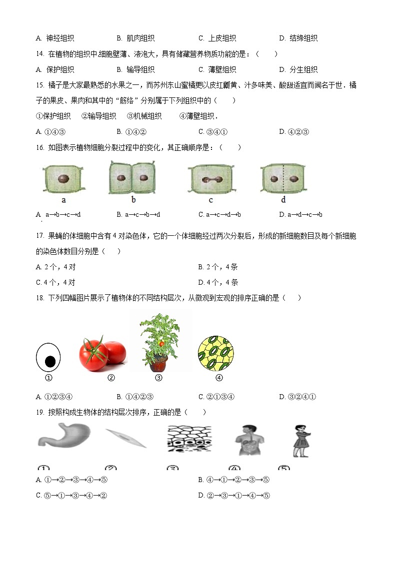 江苏省淮安市浦东实验中学2023-2024学年七年级下学期期中生物试题（原卷版）第3页
