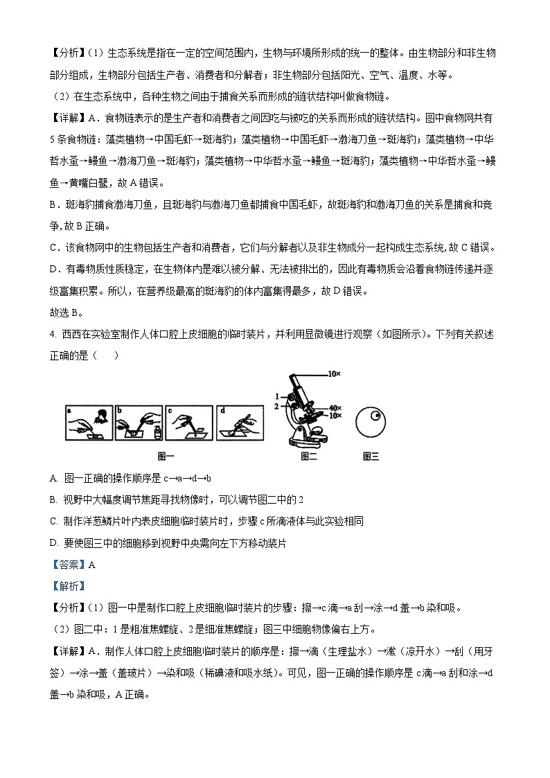 陕西省西安交通大学附属中学2023-2024学年七年级下学期期中生物试题（原卷版+解析版）03