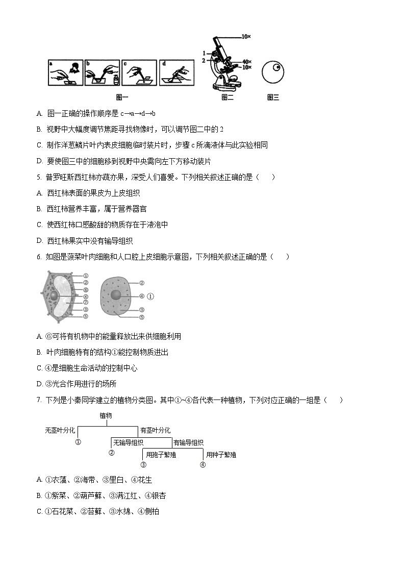 陕西省西安交通大学附属中学2023-2024学年七年级下学期期中生物试题（原卷版+解析版）02