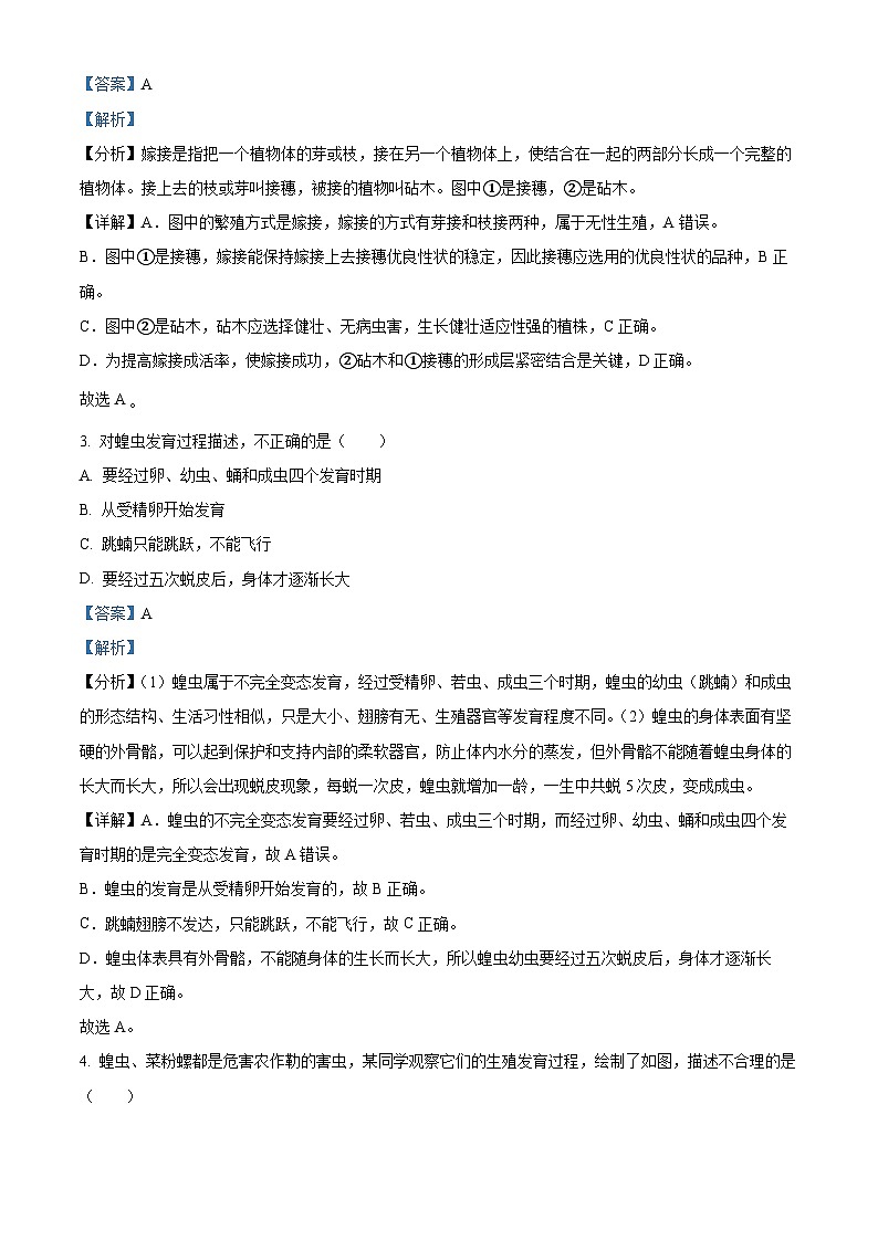 新疆和田地区墨玉县2023-2024学年八年级下学期期中生物试题（解析版）第2页