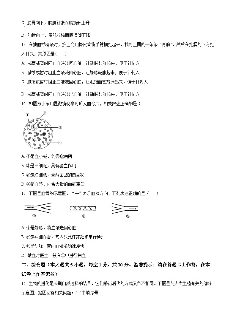 广西南宁市第三中学2023-2024学年七年级下学期期中生物试题（原卷版）第3页
