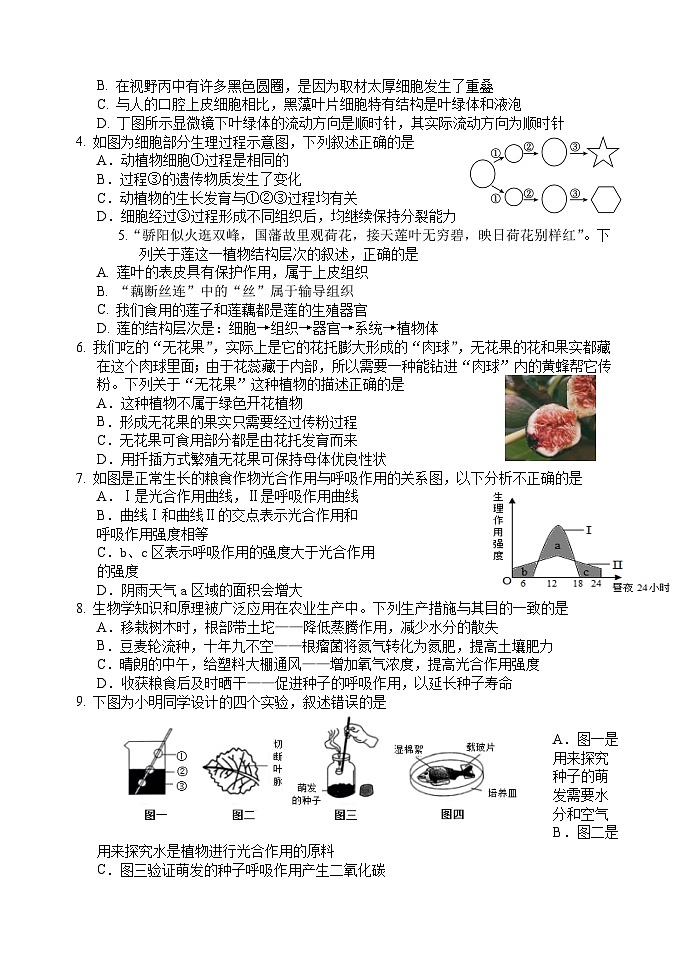 2024年山东滨州邹平魏桥实验学校中考5月月考八年级下学期生物模拟试题第3页