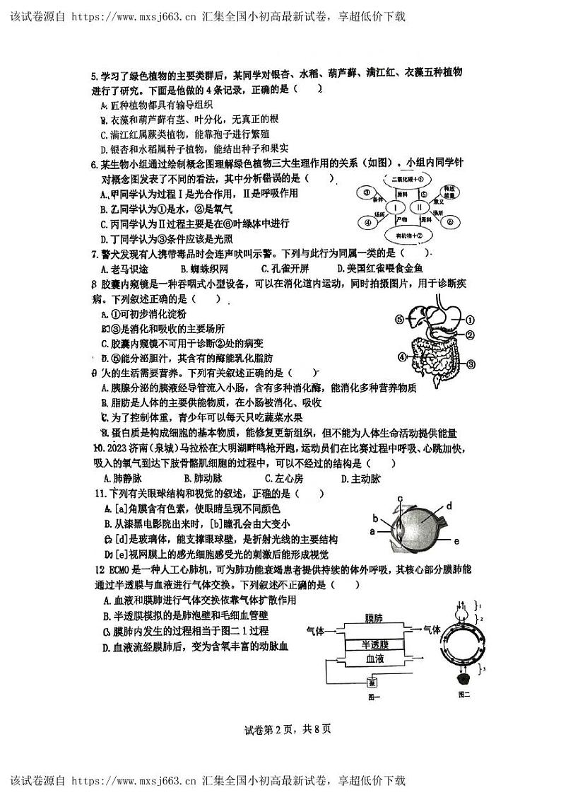2024年山东省济南市历下区中考二模生物试题02