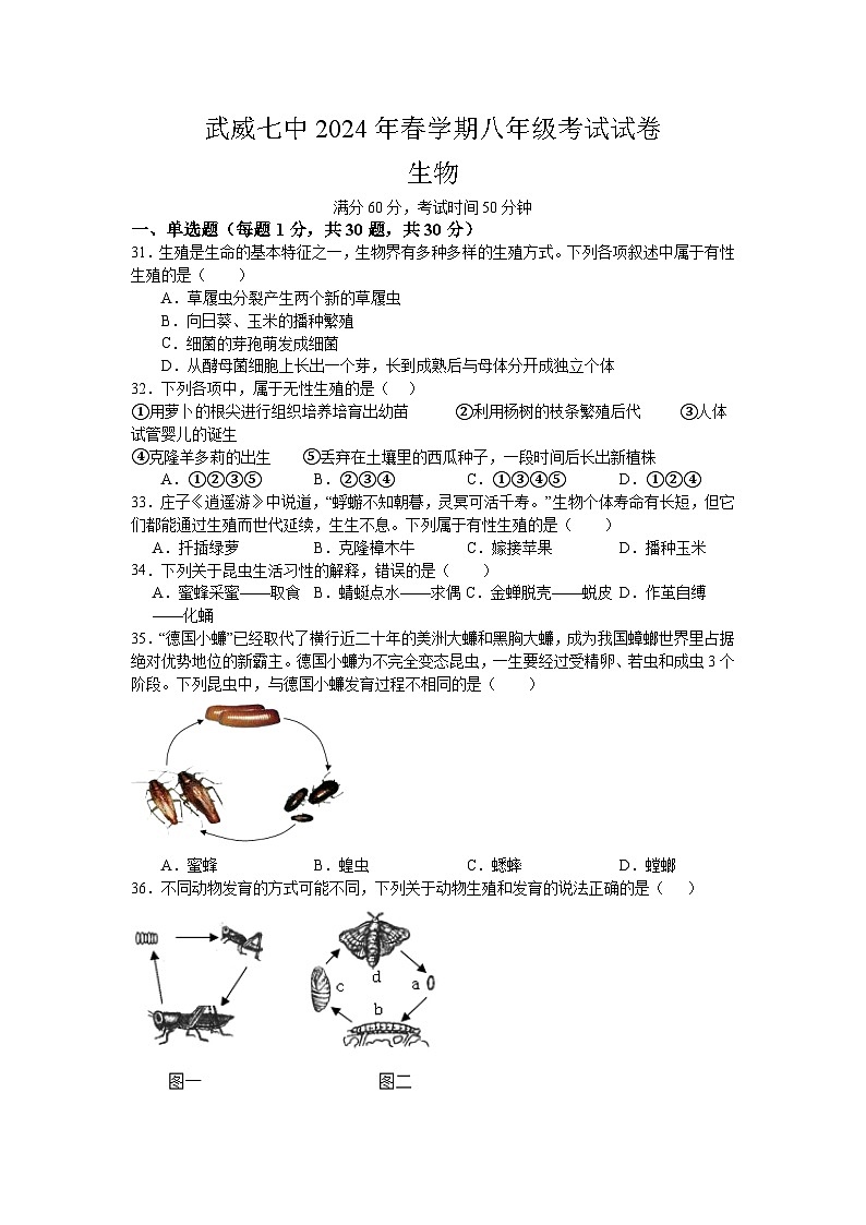 甘肃省武威市第七中学2023--2024学年下学期八年级期中考试生物试题第1页