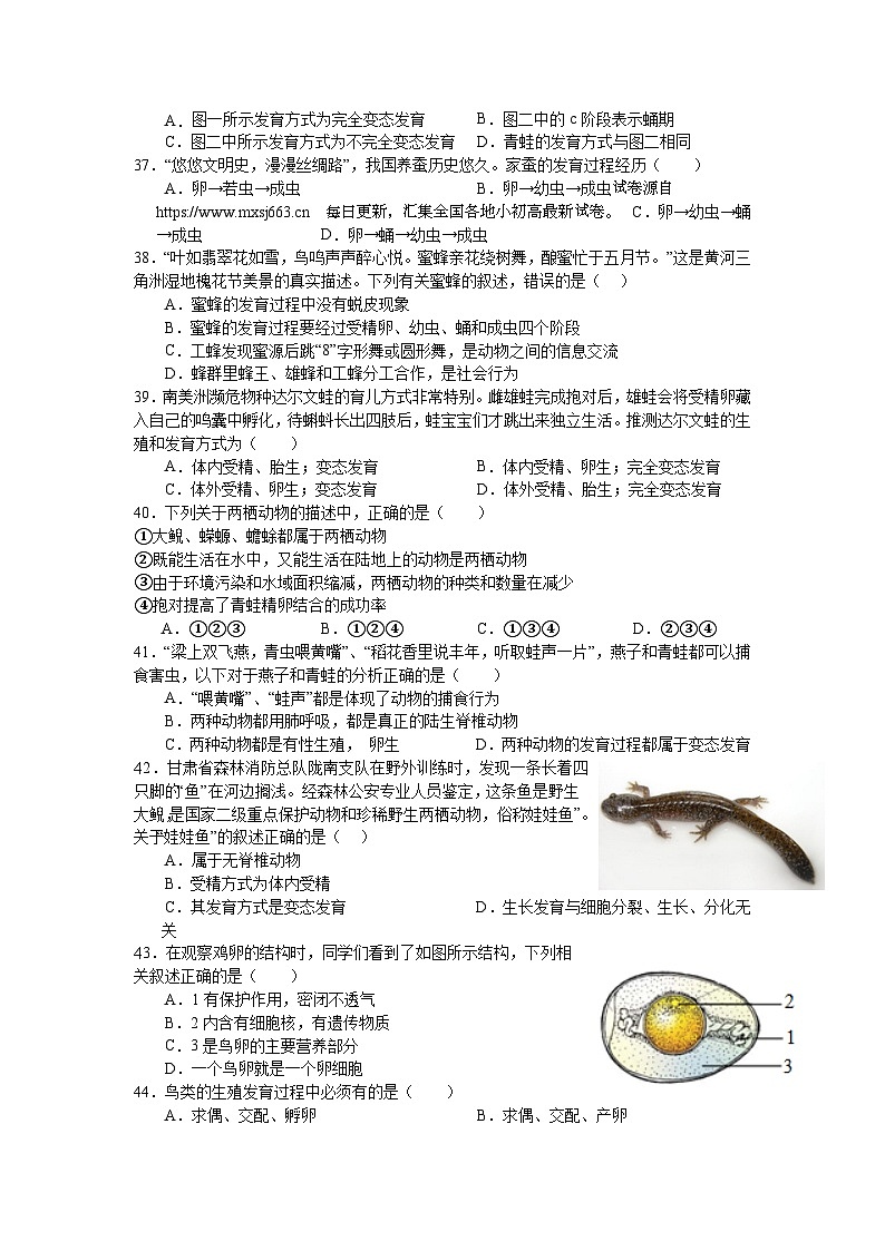 甘肃省武威市第七中学2023--2024学年下学期八年级期中考试生物试题第3页