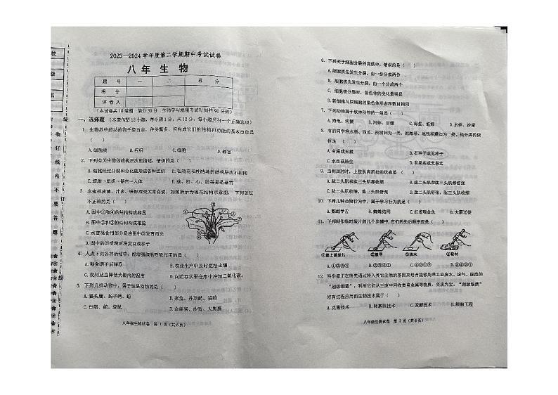 辽宁省铁岭市铁岭县2023-2024学年八年级下学期5月期中生物试卷01