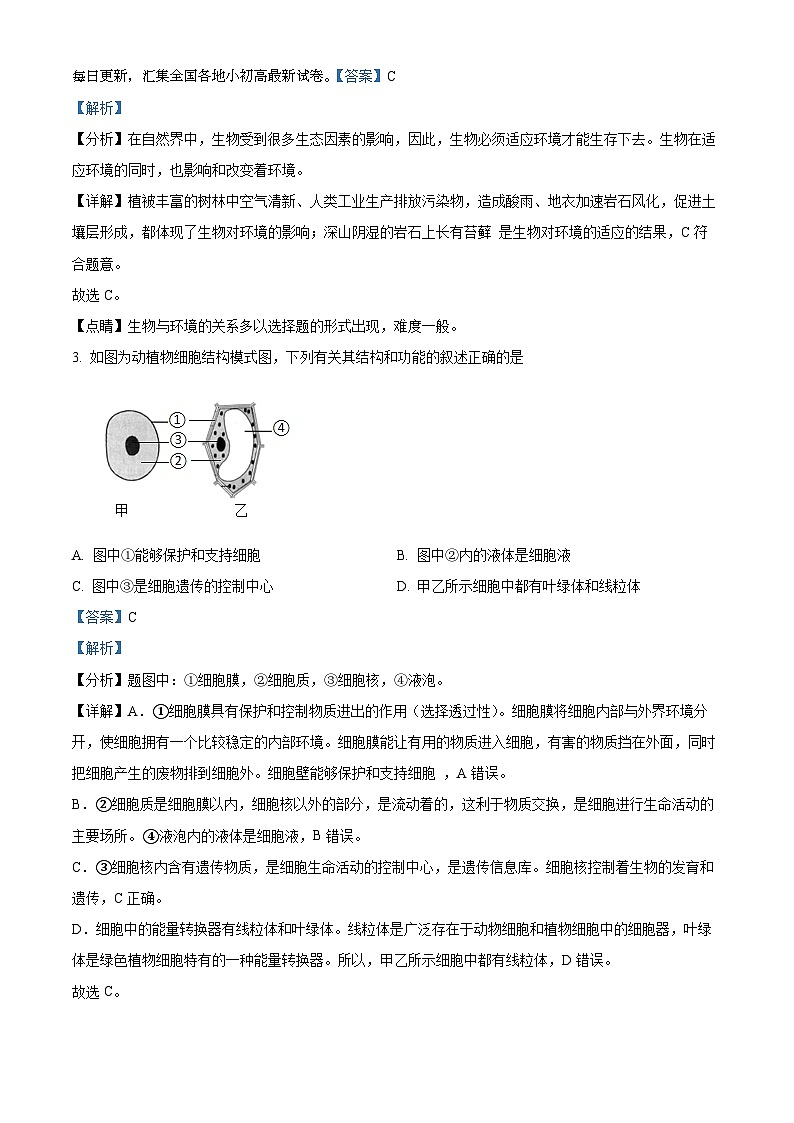 山东省济宁市济宁学院附属中学2023-2024学年八年级下学期期中生物试题第3页