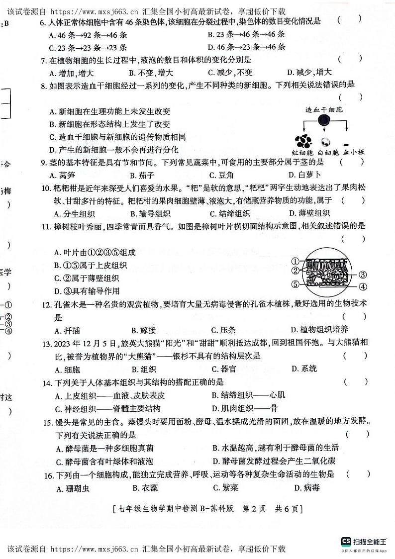 陕西省渭南市高新区2023--2024学年七年级下学期期中生物试题第2页