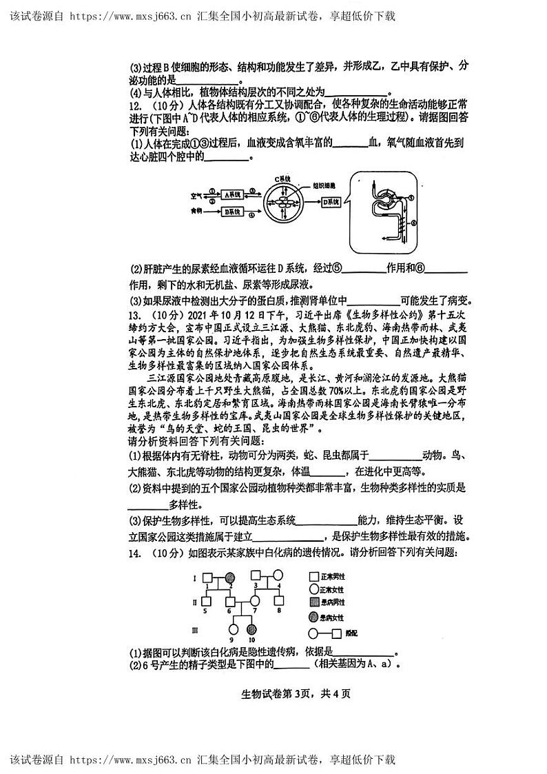 2024年四川省南充市中考二模考试生物试题第3页