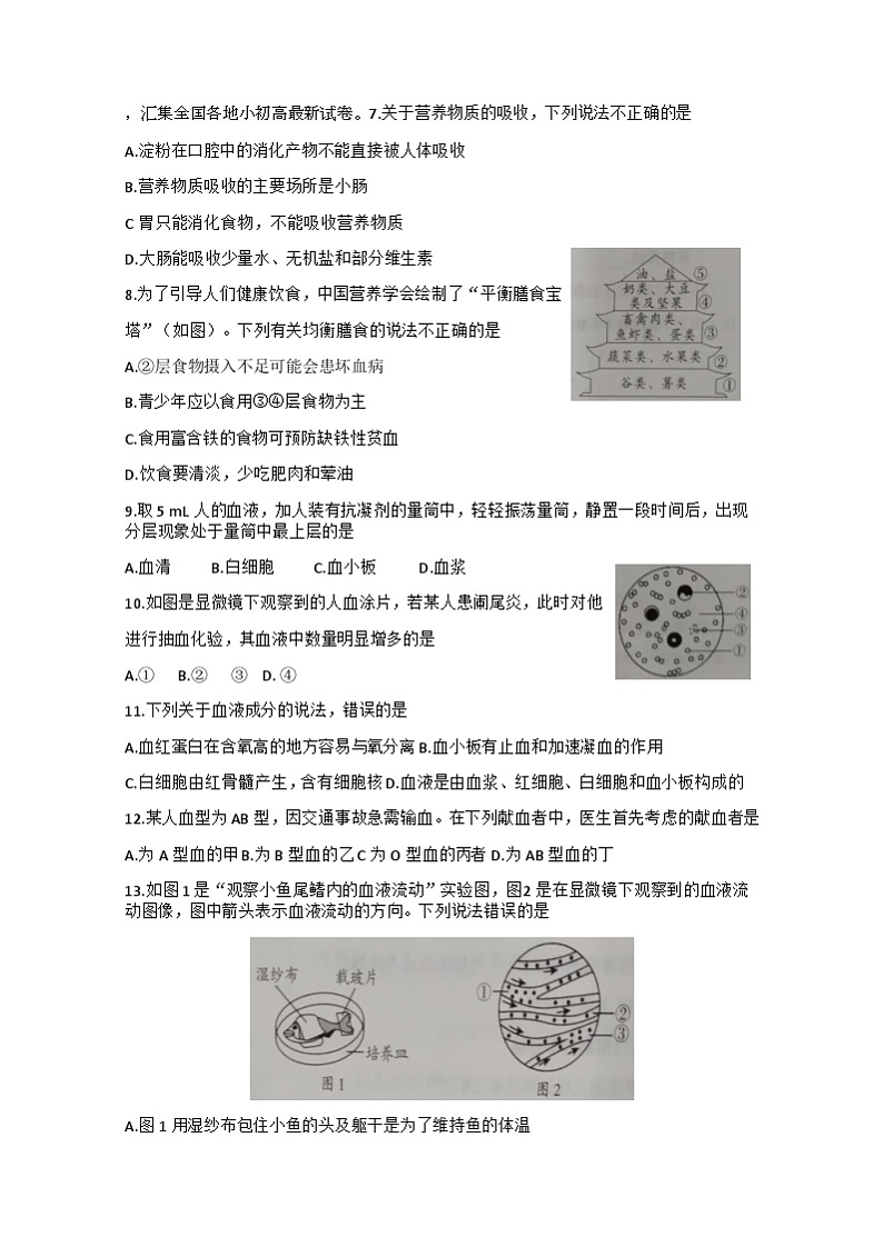贵州省毕节市金沙县第四中学2023-2024学年七年级下学期5月份期中考试生物试题第3页