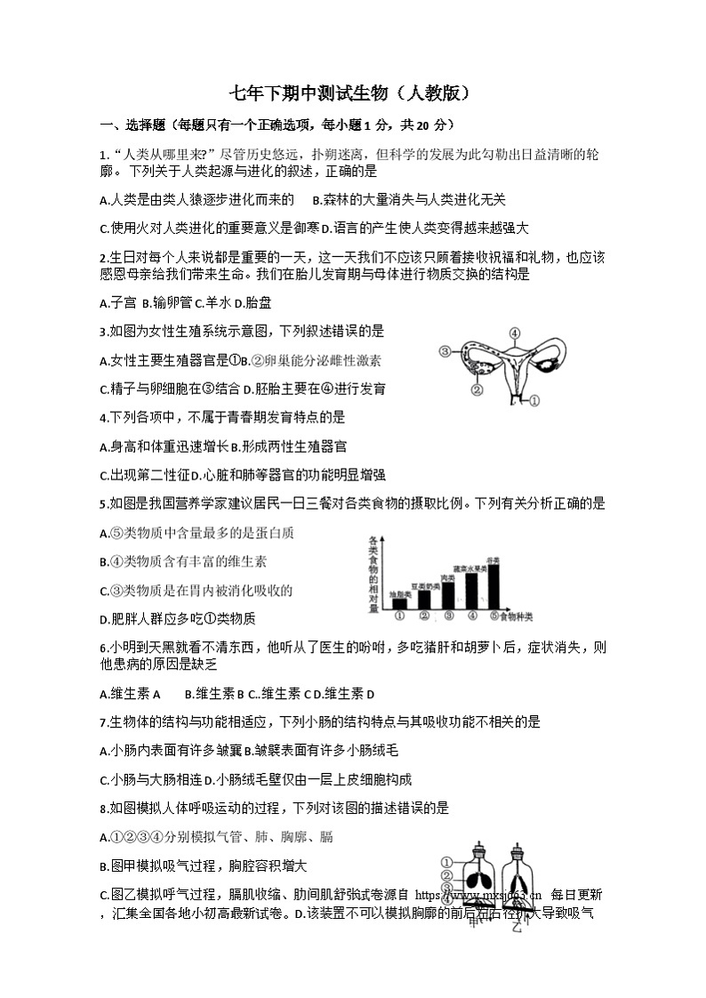 吉林省吉林市丰满区松花江中学2023-2024学年七年级下学期5月期中考试生物试题第1页
