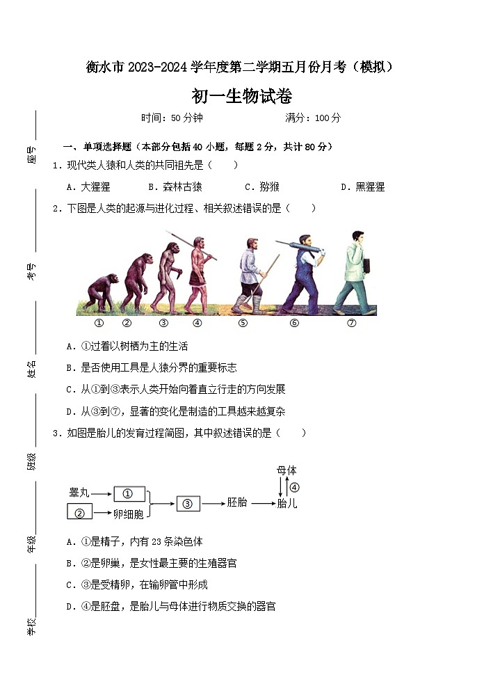 河北省衡水市2023-2024学年七年级下学期五月份月考生物试题（模拟）01