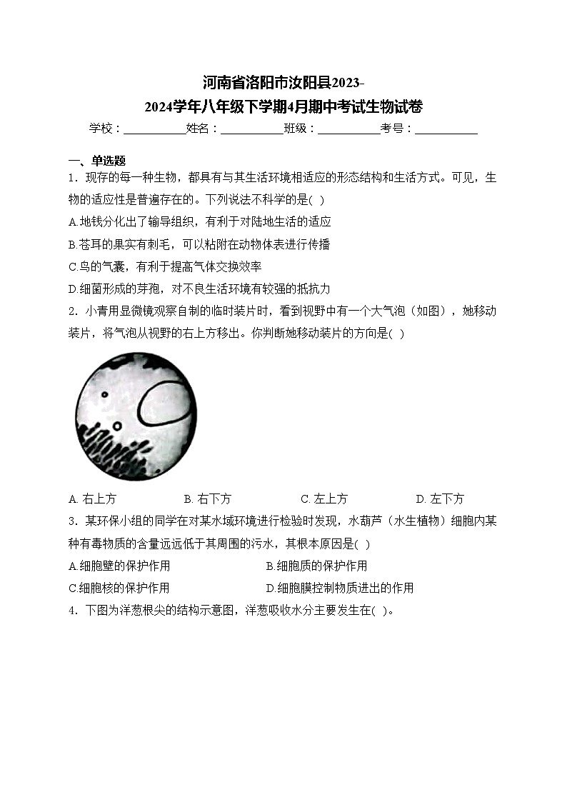 河南省洛阳市汝阳县2023-2024学年八年级下学期4月期中考试生物试卷(含答案)01