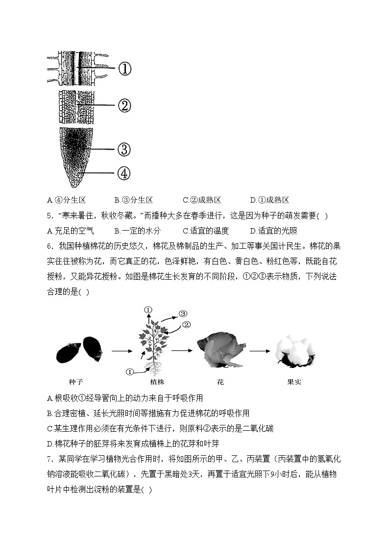 河南省洛阳市汝阳县2023-2024学年八年级下学期4月期中考试生物试卷(含答案)02
