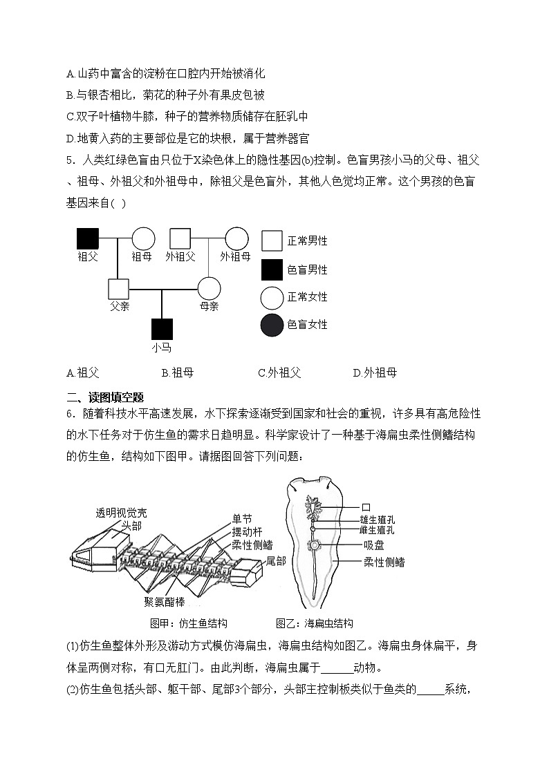 内蒙古呼伦贝尔市鄂伦春自治旗2024年中考一模生物试卷(含答案)02