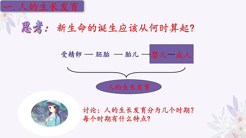 2024年七年级生物下册课件苏教版-8.2 人的生长发育和青春期04