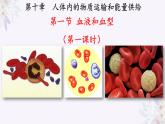 2024年七年级生物下册课件苏教版-10.1 血液和血型（第一课时）