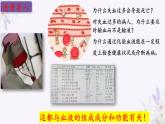 2024年七年级生物下册课件苏教版-10.1 血液和血型（第一课时）