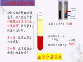 2024年七年级生物下册课件苏教版-10.1 血液和血型（第一课时）