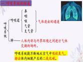 2024年七年级生物下册课件苏教版-10.3 人体和外界环境的气体交换