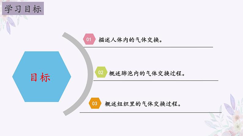 2024年七年级生物下册课件苏教版-10.4 人体内的气体交换02